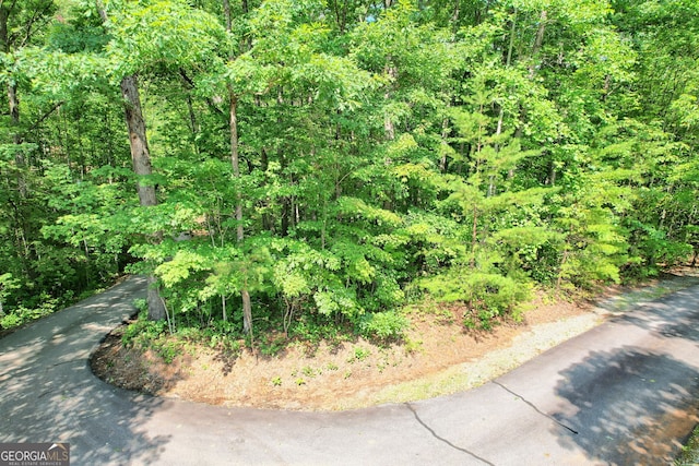 0 Forest Canopy Way Lot 3, Clayton GA, 30525 land for sale