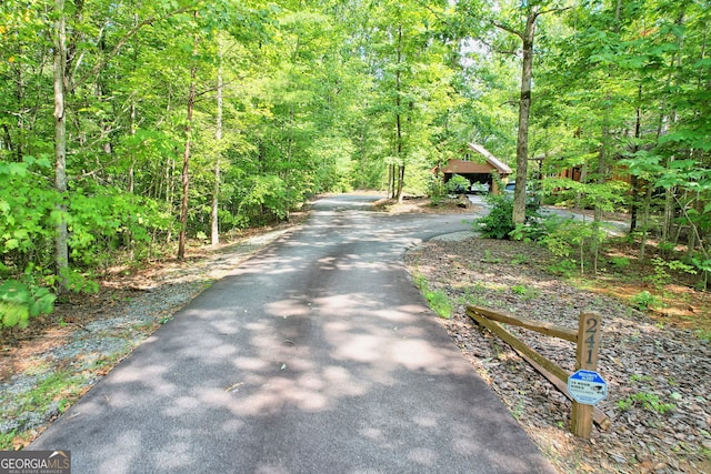 Listing photo 2 for 0 Forest Canopy Way Lot 3, Clayton GA 30525