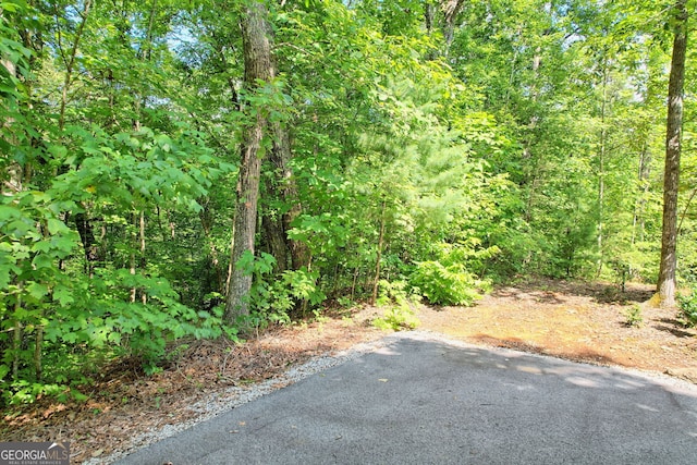 Listing photo 3 for 0 Forest Canopy Way Lot 3, Clayton GA 30525