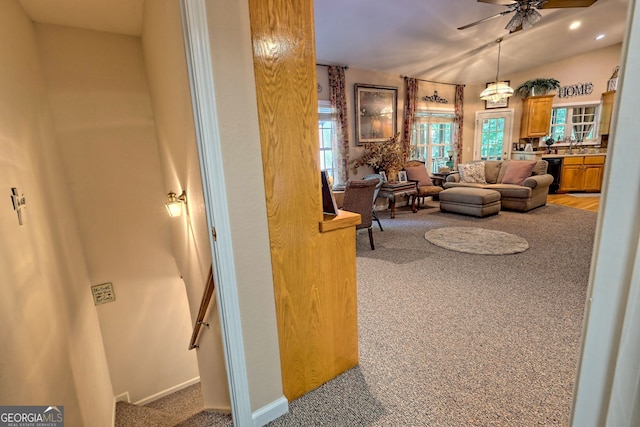 living room featuring ceiling fan and carpet