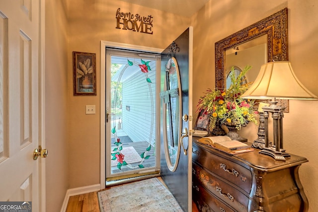 entryway featuring wood-type flooring