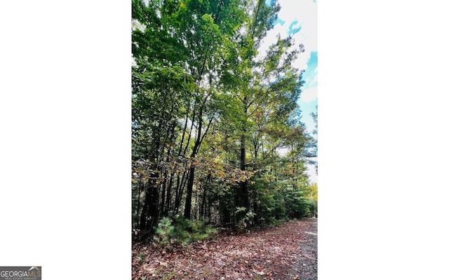 LOT3 Wild Turkey, Young Harris GA, 30582 land for sale