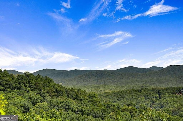 property view of mountains