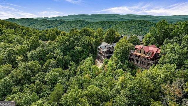 drone / aerial view with a mountain view