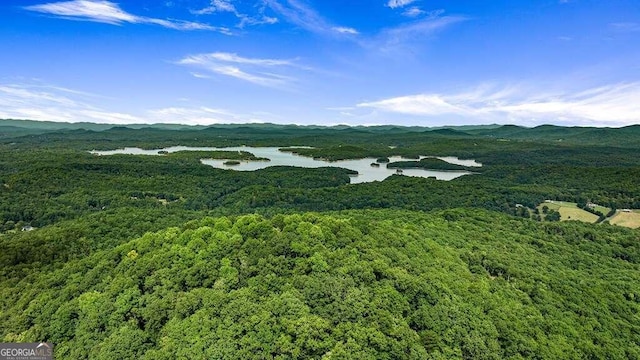 aerial view with a water and mountain view