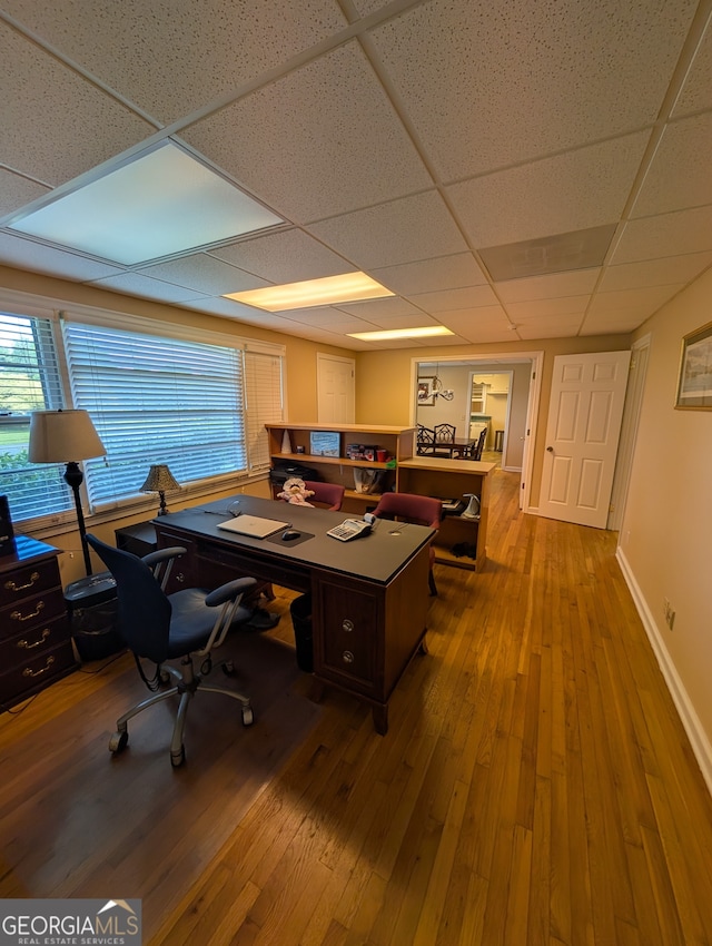 office space with a paneled ceiling and wood-type flooring