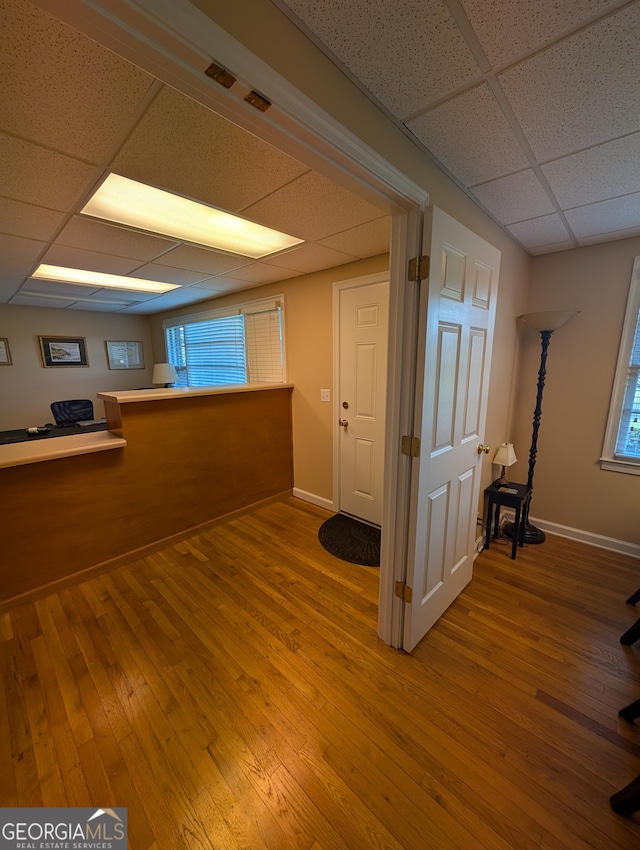 interior space featuring a healthy amount of sunlight, hardwood / wood-style floors, and a drop ceiling