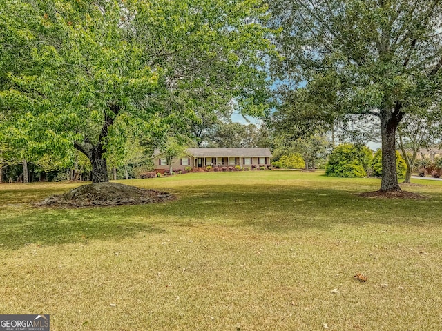 view of yard