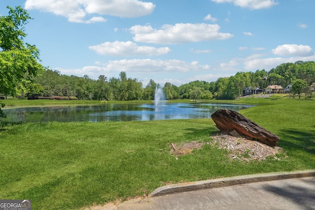 view of water feature