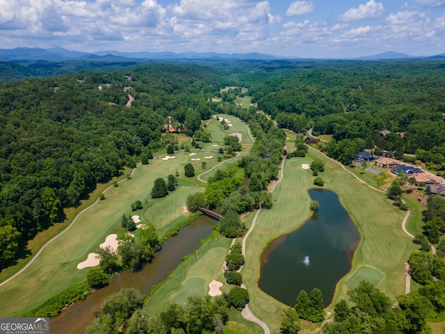 birds eye view of property with a water and mountain view