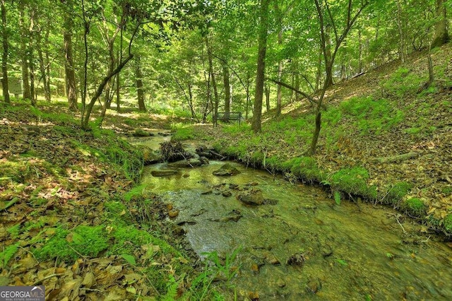 view of local wilderness