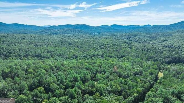 property view of mountains