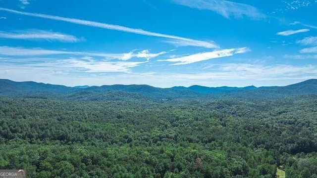 view of mountain feature