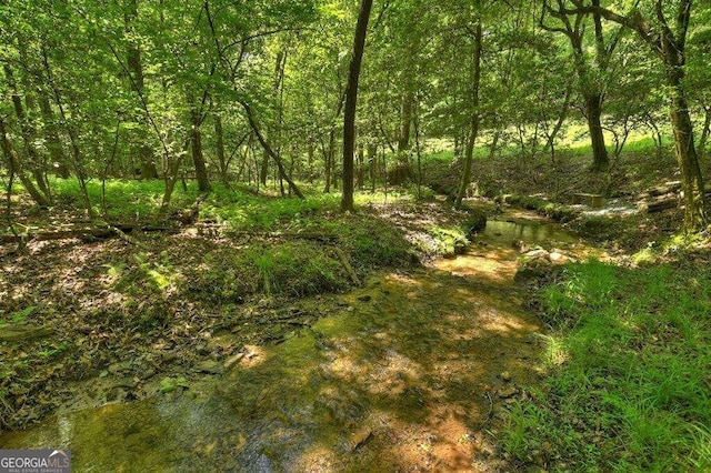 view of landscape