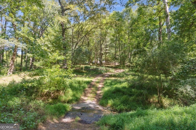 view of local wilderness