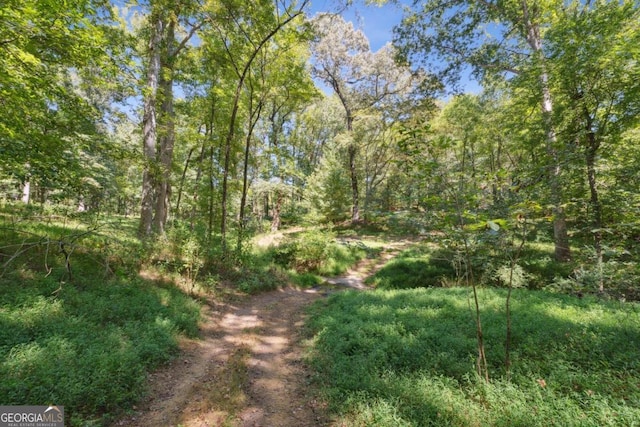 view of local wilderness