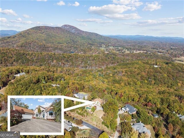 birds eye view of property featuring a mountain view and a forest view