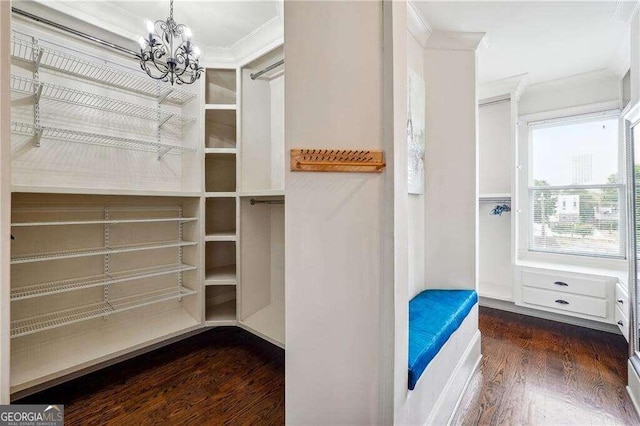 walk in closet with dark wood-type flooring and a notable chandelier