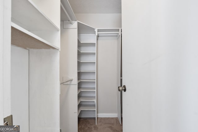 walk in closet with carpet floors