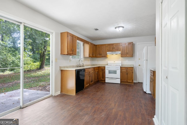 kitchen featuring a wealth of natural light, sink, dark wood-type flooring, and white appliances