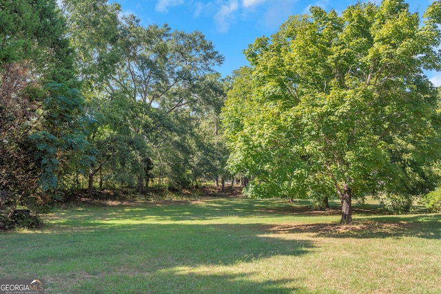 view of grassy yard