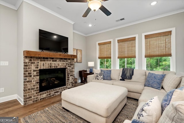 living room with a fireplace, crown molding, ceiling fan, and dark hardwood / wood-style floors