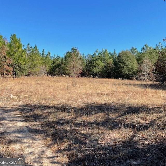 121/-ACRES Pineville Rd, Buena Vista GA, 31803 land for sale