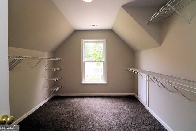 spacious closet featuring lofted ceiling and carpet flooring