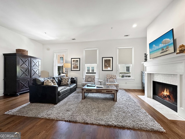 living room with a fireplace and hardwood / wood-style floors