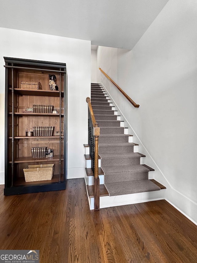 wine area featuring dark hardwood / wood-style flooring