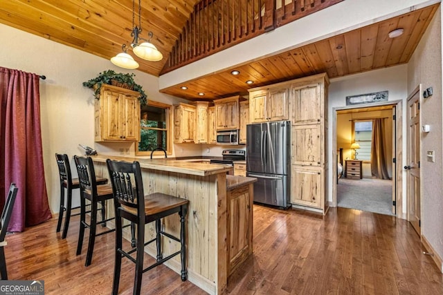 kitchen with a kitchen breakfast bar, kitchen peninsula, stainless steel appliances, and lofted ceiling