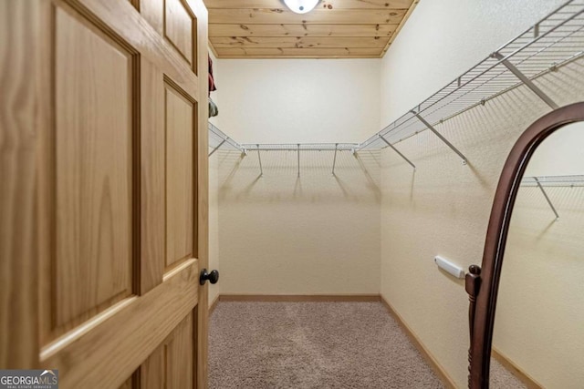 walk in closet with light carpet