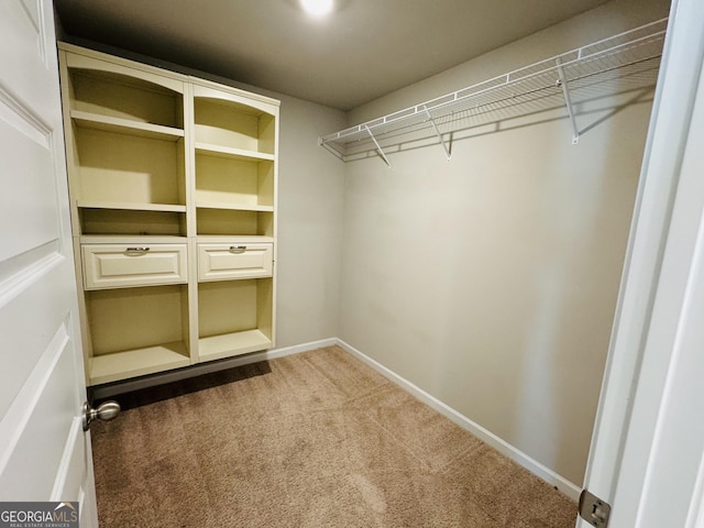 spacious closet featuring carpet