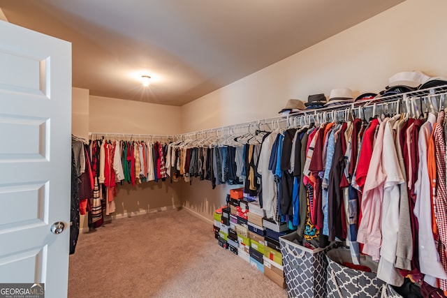 walk in closet with carpet flooring