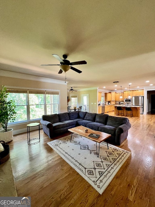 living room with ceiling fan, hardwood / wood-style floors, and ornamental molding