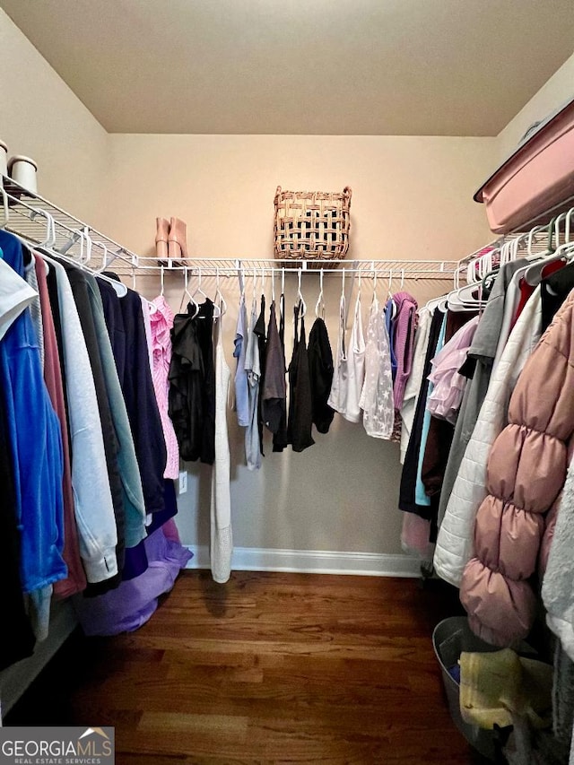 spacious closet with dark wood-type flooring