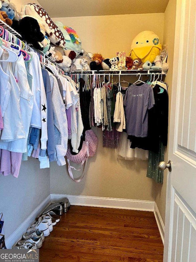 walk in closet featuring dark wood-type flooring