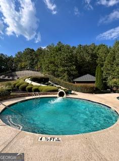 view of swimming pool