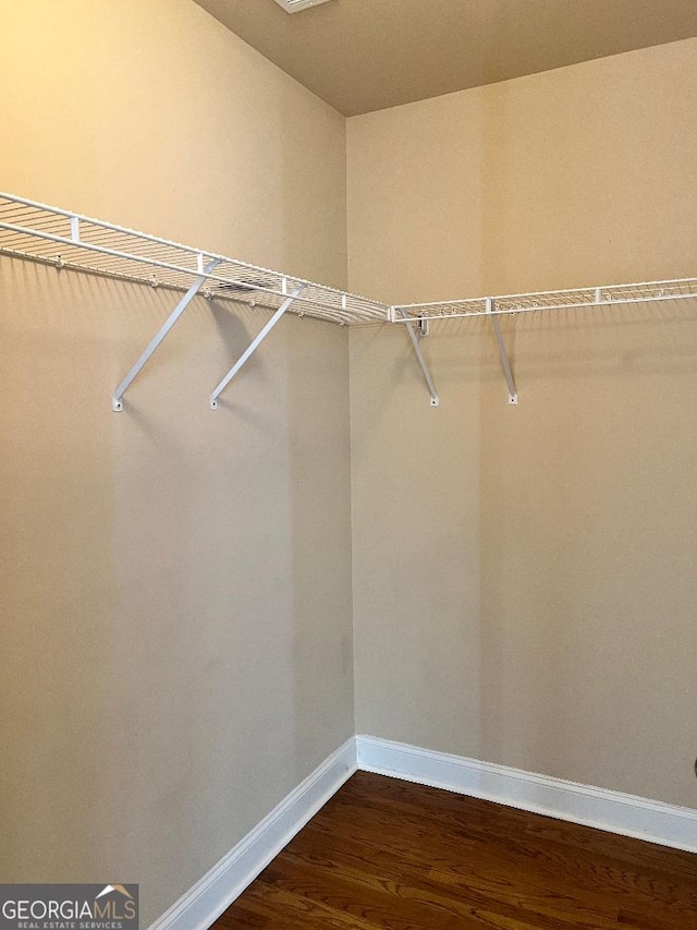 spacious closet featuring hardwood / wood-style flooring