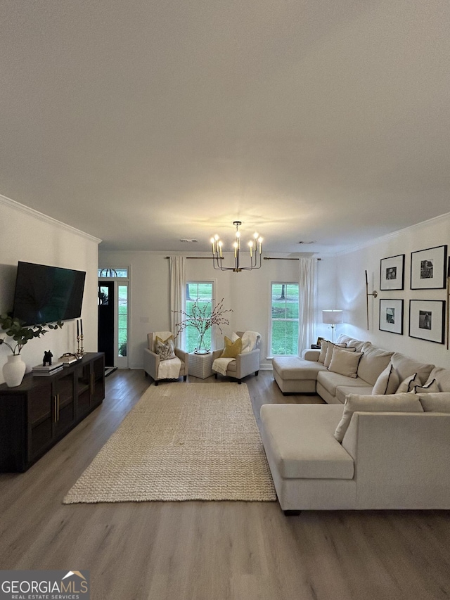 living room with hardwood / wood-style flooring and a chandelier