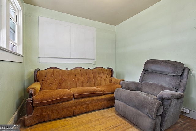 living room with hardwood / wood-style flooring