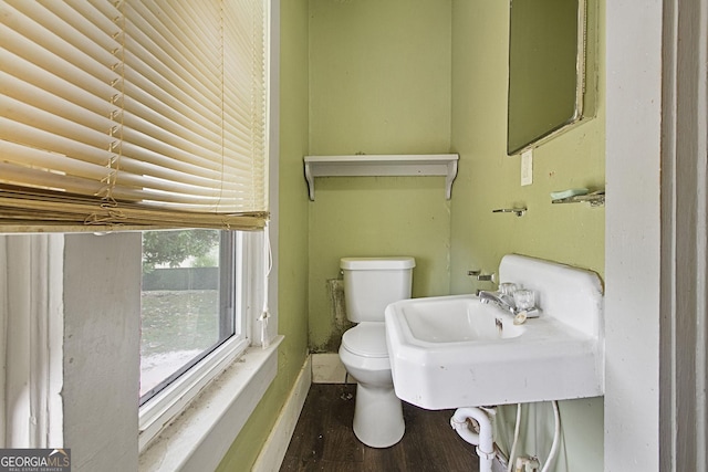 bathroom featuring toilet, a sink, and wood finished floors