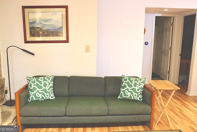 living room with wood-type flooring