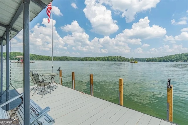 dock area featuring a water view