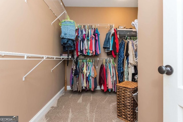 walk in closet featuring carpet floors