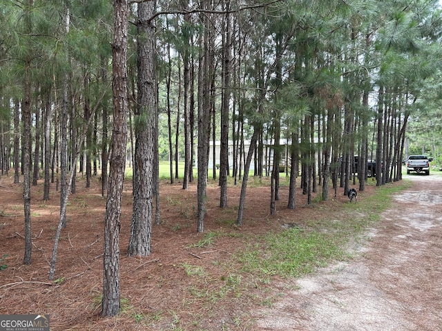 view of landscape