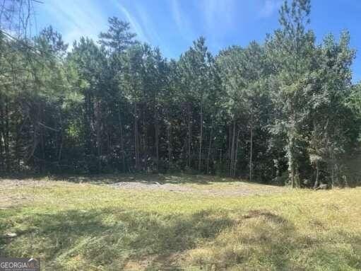 0 Granada Dr, Atlanta GA, 30349 land for sale