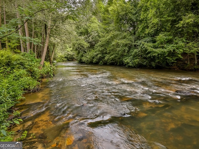 water view with a wooded view