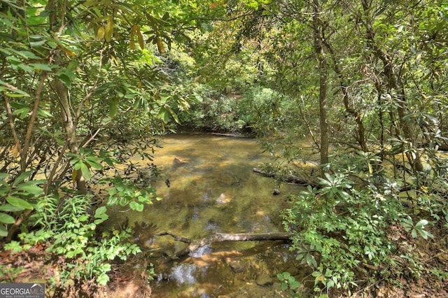 view of nature featuring a wooded view