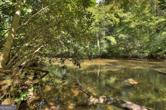 view of local wilderness with a water view and a view of trees